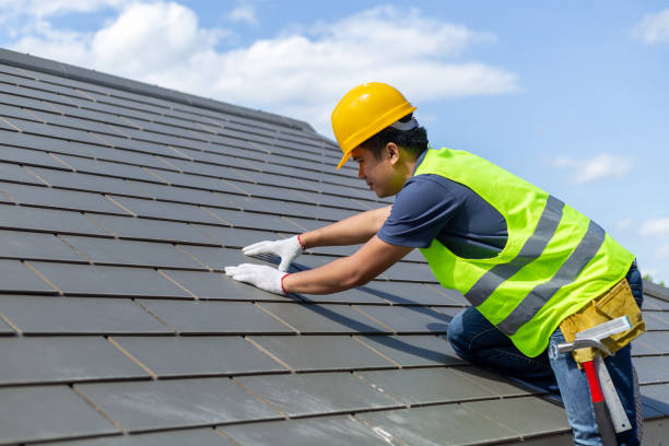 Best Roof Gutter Cleaning  in Olivia, MN