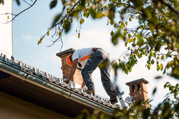Quick and Trustworthy Emergency Roof Repair Services in Olivia, MN