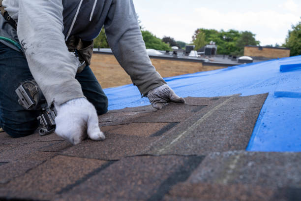 Olivia, MN Roofing Contractor Company