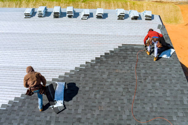 Best New Roof Installation  in Olivia, MN
