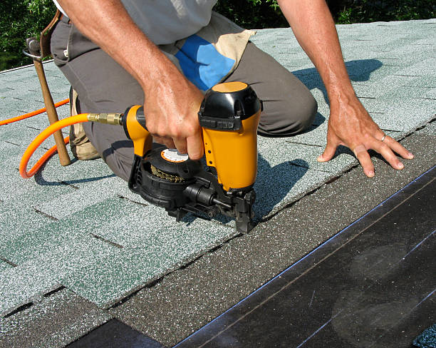Best Roof Waterproofing Services  in Olivia, MN