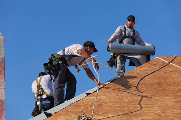 Best Local Roofing Companies  in Olivia, MN