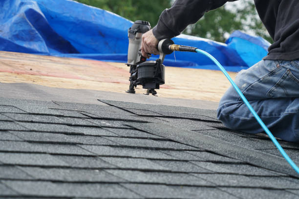 Best Metal Roofing Contractor  in Olivia, MN