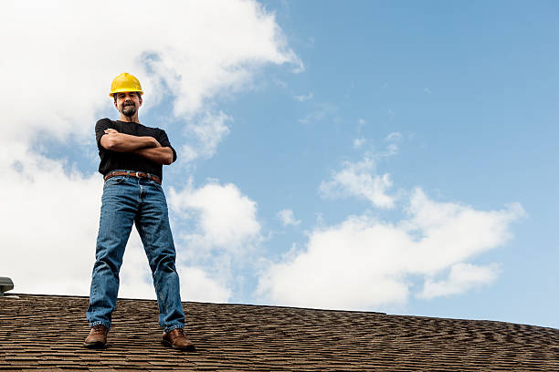 Best Gutter Installation and Roofing  in Olivia, MN