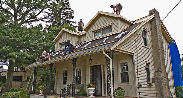 Best Slate Roofing Contractor  in Olivia, MN