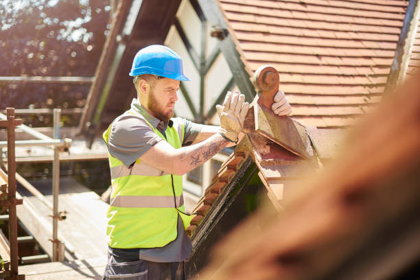 Best New Roof Installation  in Olivia, MN