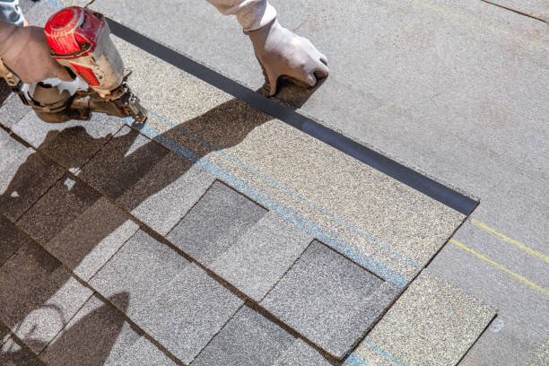 Best Flat Roof Repair Services  in Olivia, MN