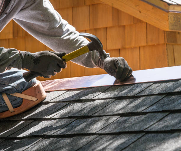 Best Metal Roofing Contractor  in Olivia, MN